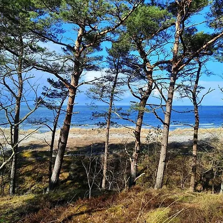 Holiday Flat, Zingst *